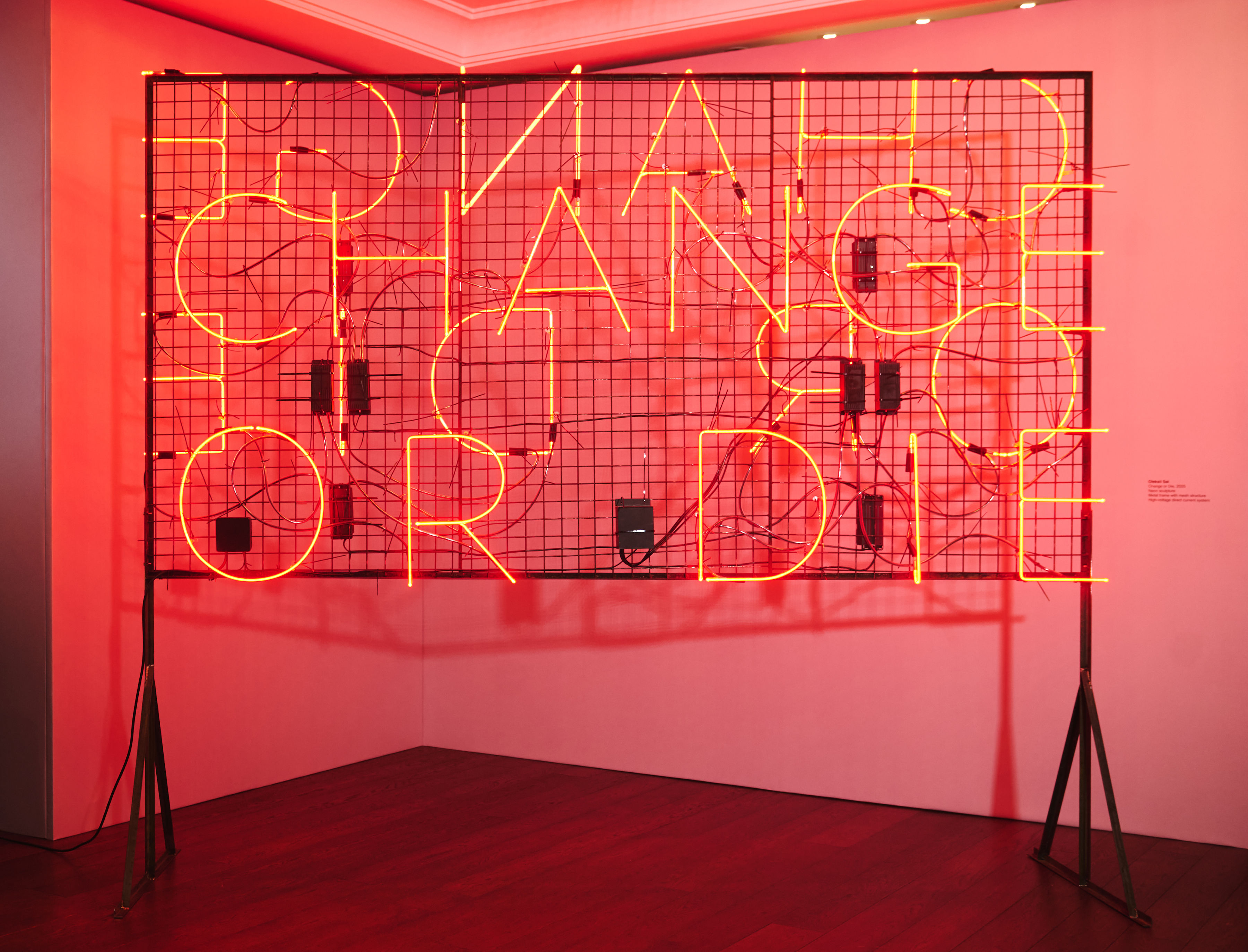 Инсталляция Алексея Сая